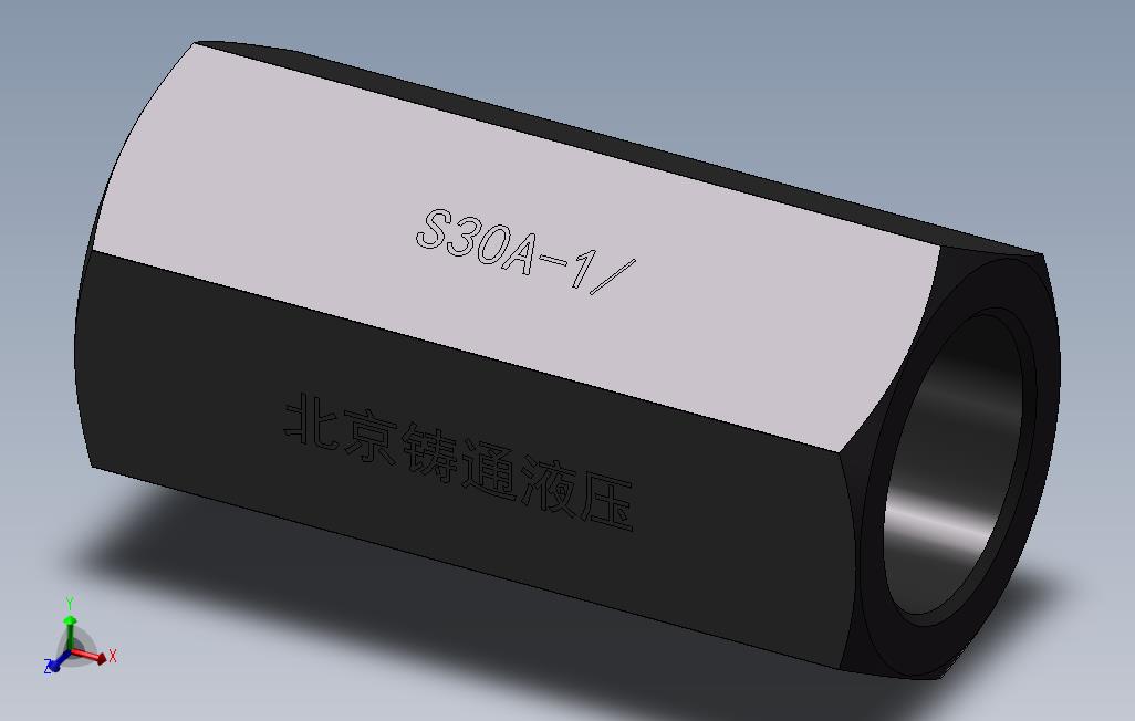 S30A单向阀
