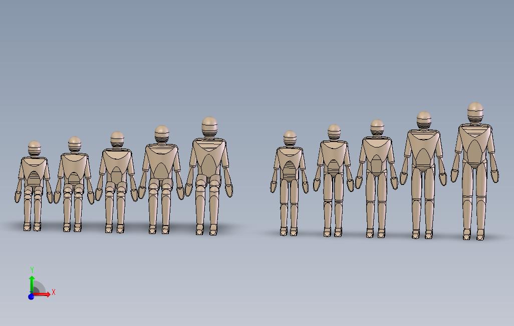人体模型各身高齐全（12种）