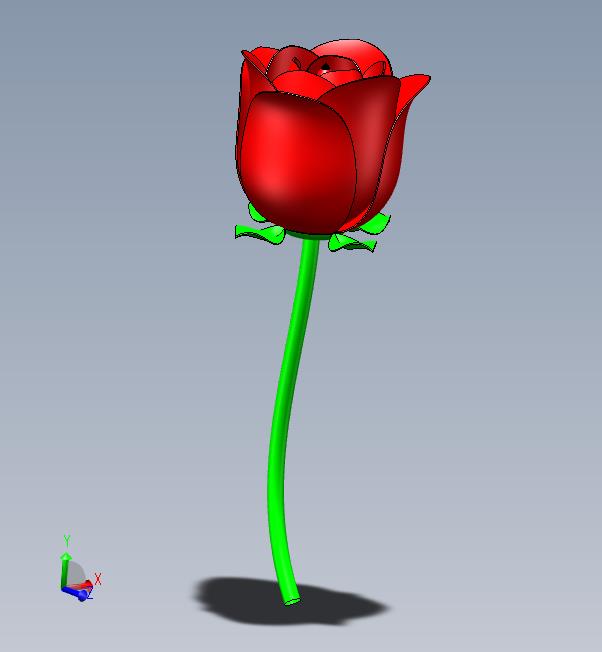 玫瑰花