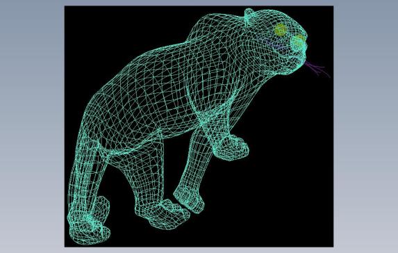 金钱豹3d模型