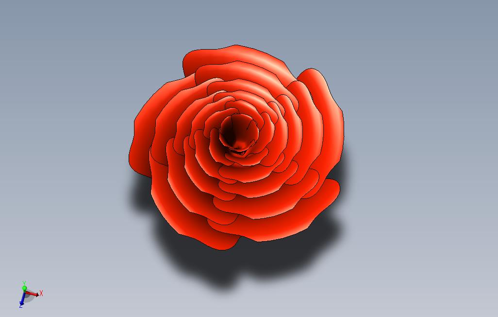 1玫瑰花