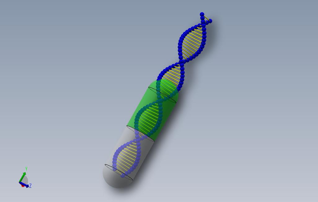 solidworksDNA分子胶囊模型
