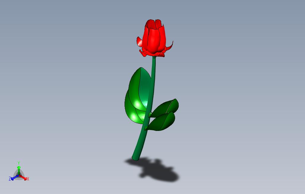 玫瑰花