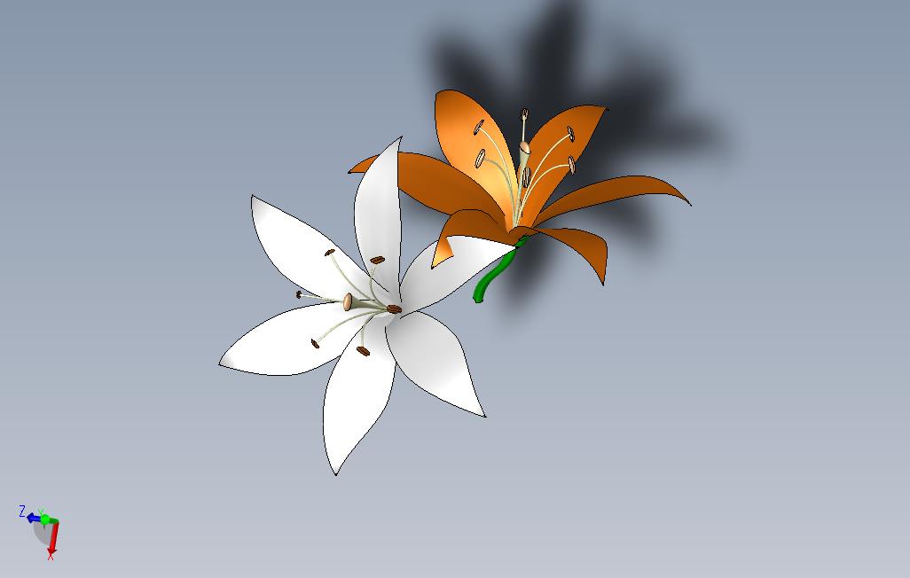 百合花
