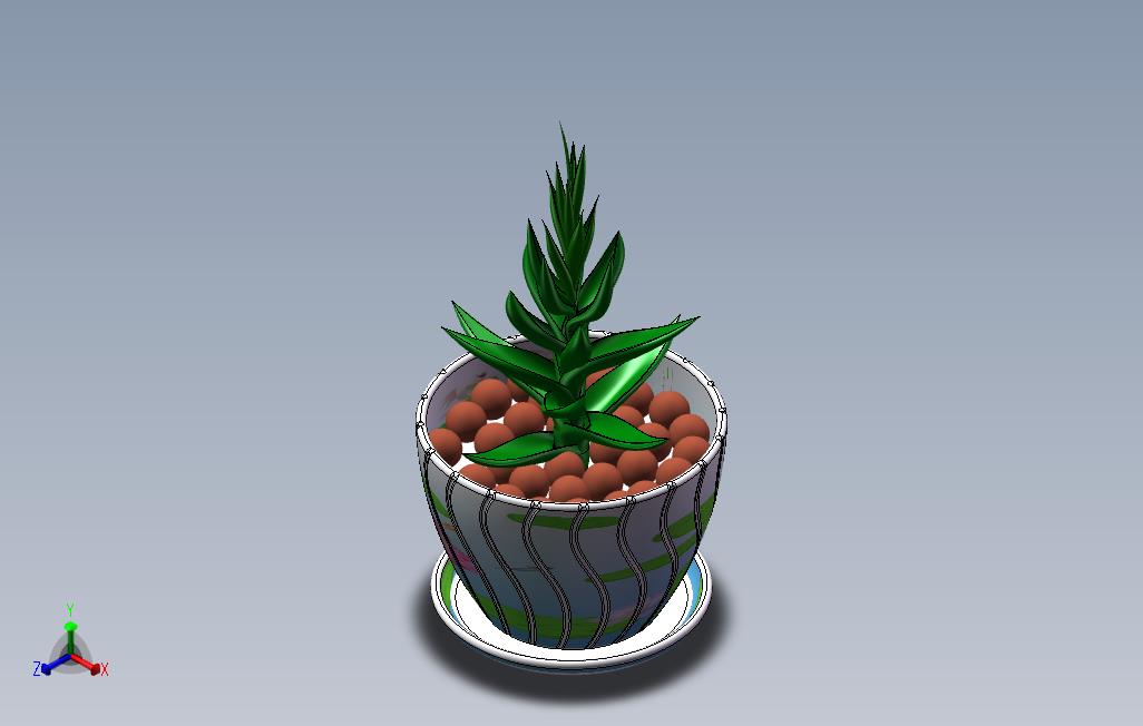 芦荟盆栽