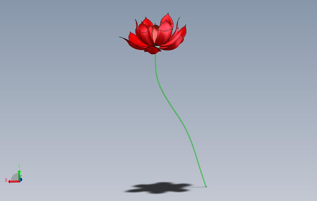 荷花
