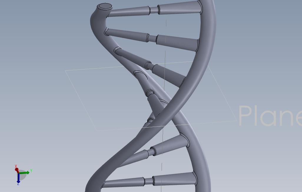 solidworksDNA模型