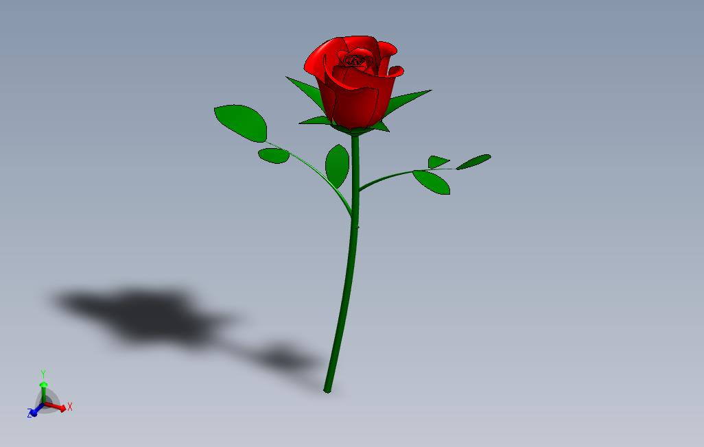 1玫瑰花