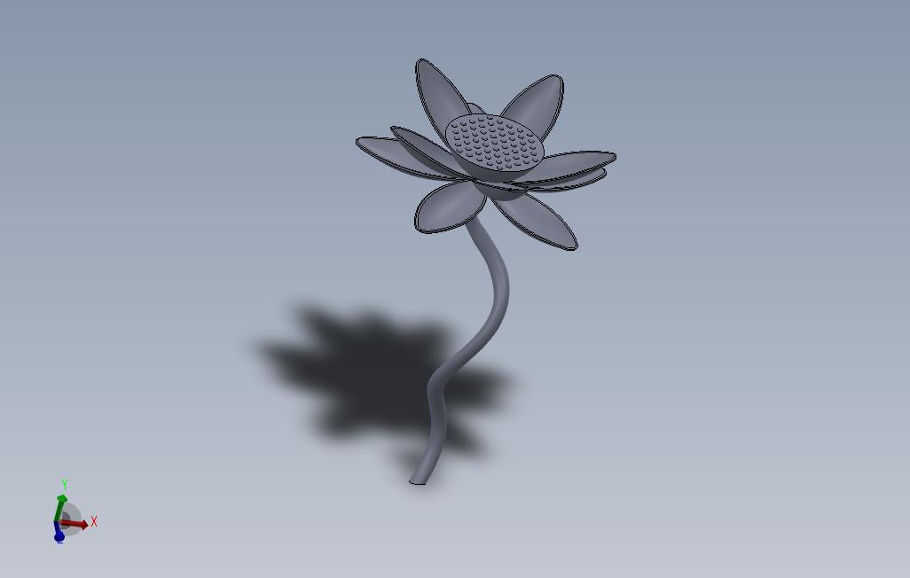 1荷花