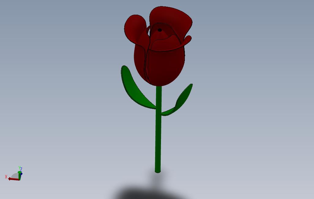 玫瑰花