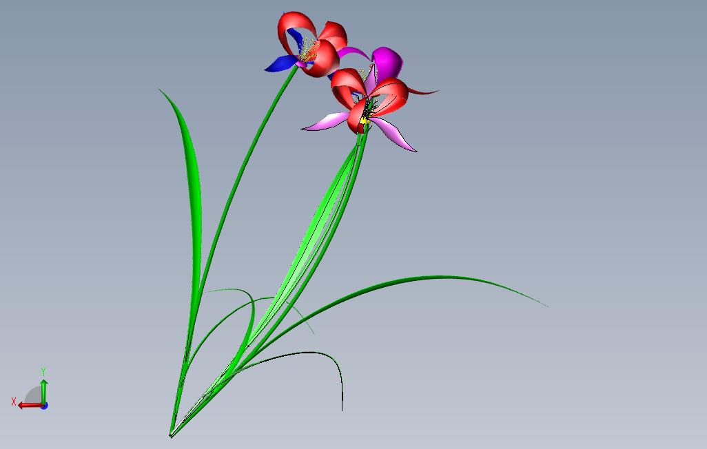 花_SOLIDWORKS 2007_模型图纸免费下载 – 懒石网