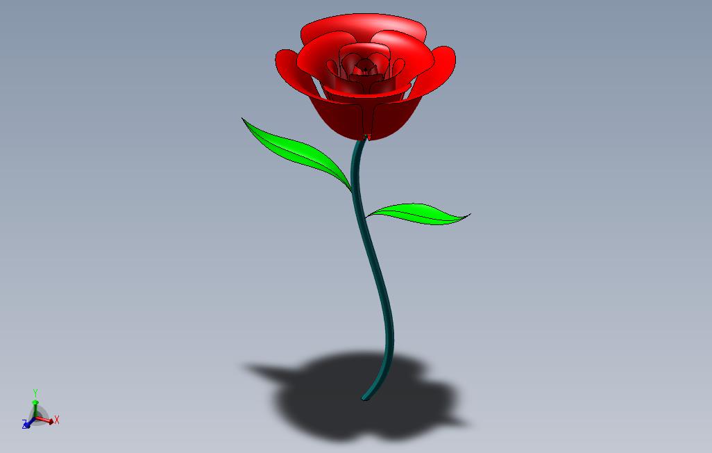 4玫瑰花