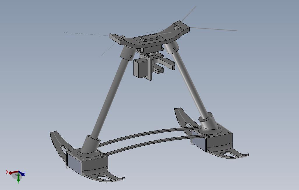 3DR虹膜的EPM支架
