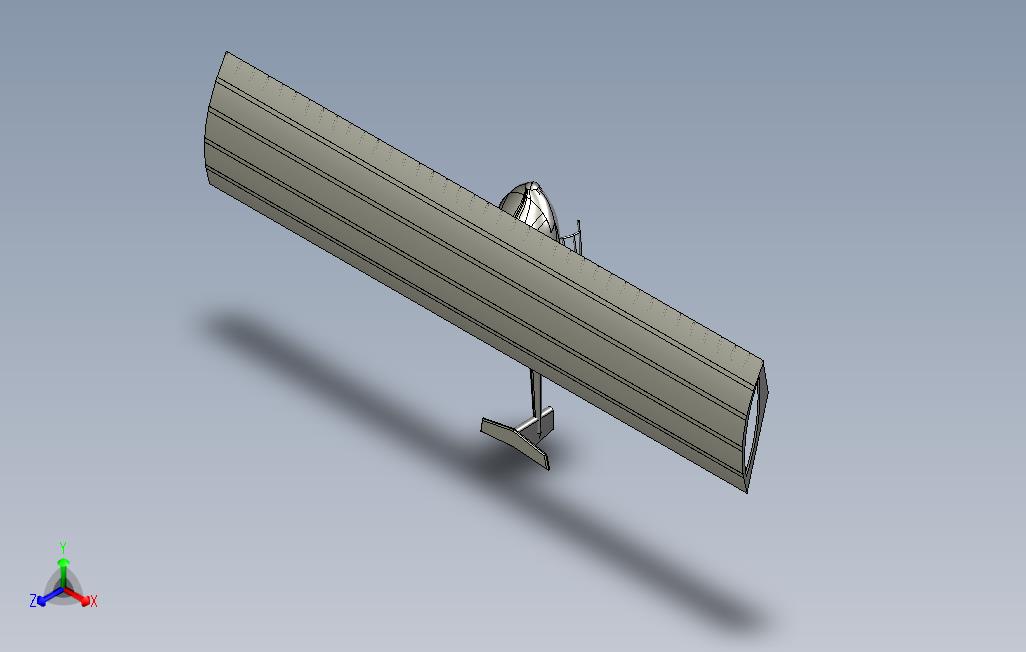 胶质选择体