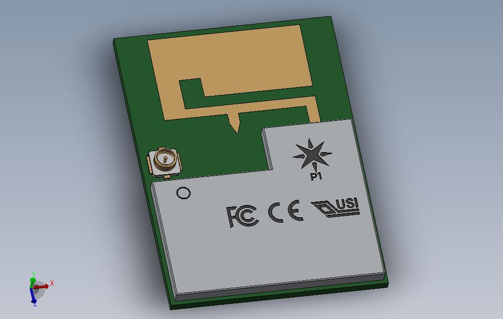 粒子P1