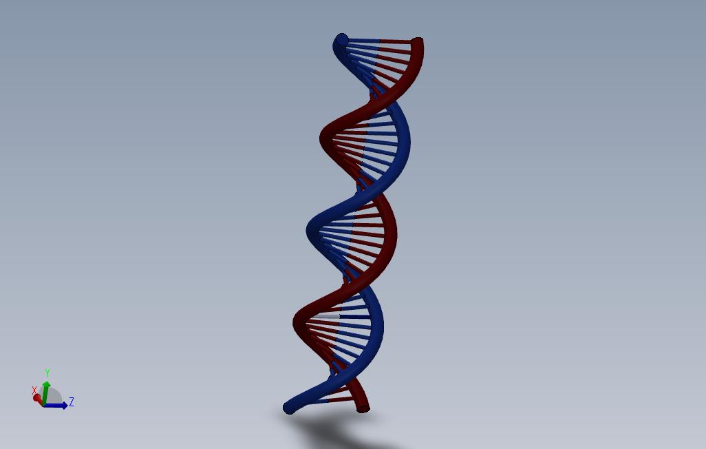 DNA