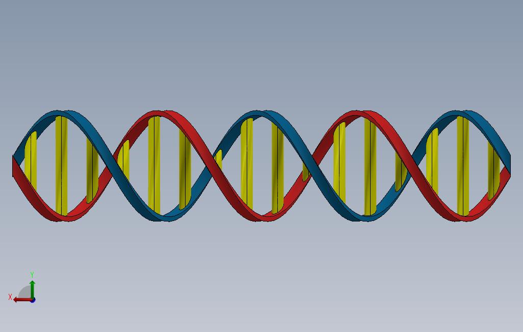Dna海滩双螺旋 Solidworks 2017 模型图纸免费下载 懒石网