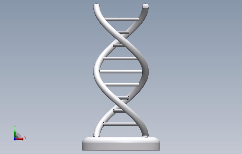 动态DNA