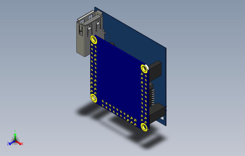 纳米皮新芯载体