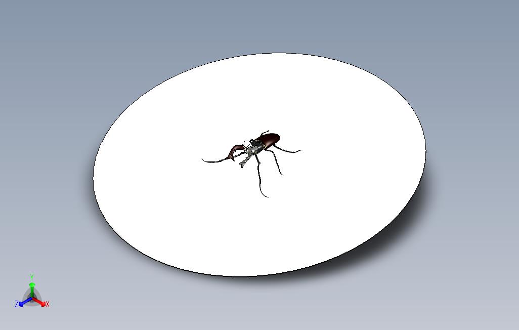 雄鹿甲虫