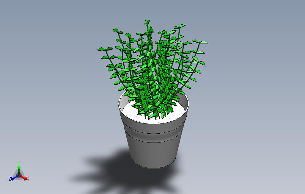 _植物