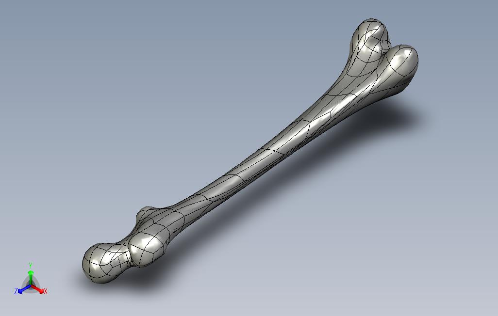 费穆尔3D模型