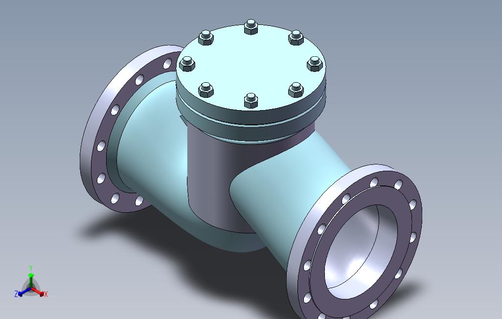 国标升降式止回阀200成品