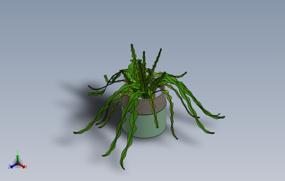 长叶植株