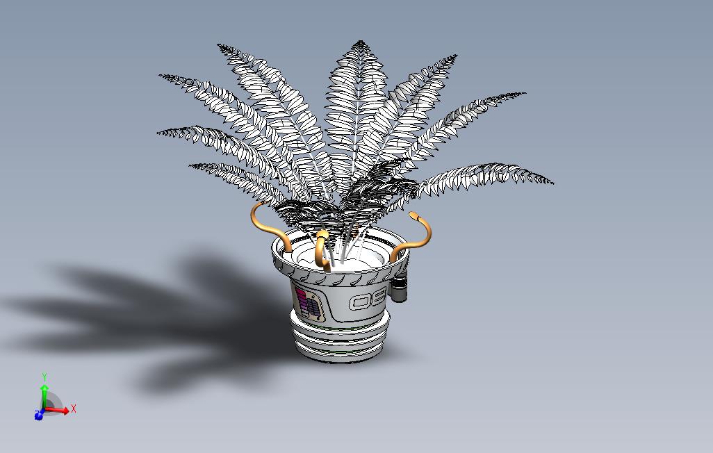 未来蕨类植物 主视图
