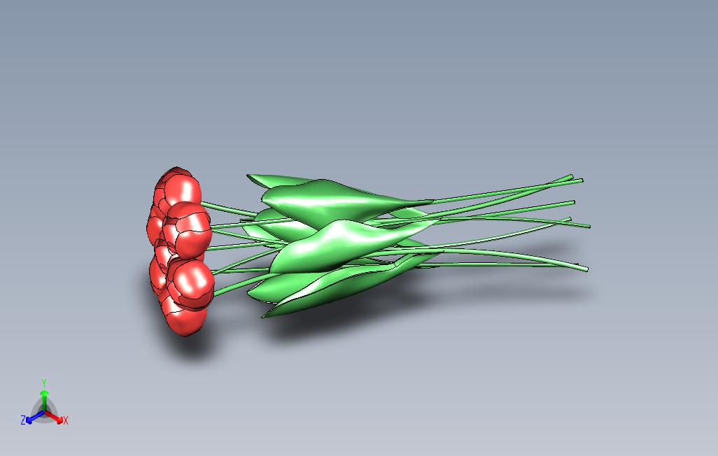 郁金香花束_tulips