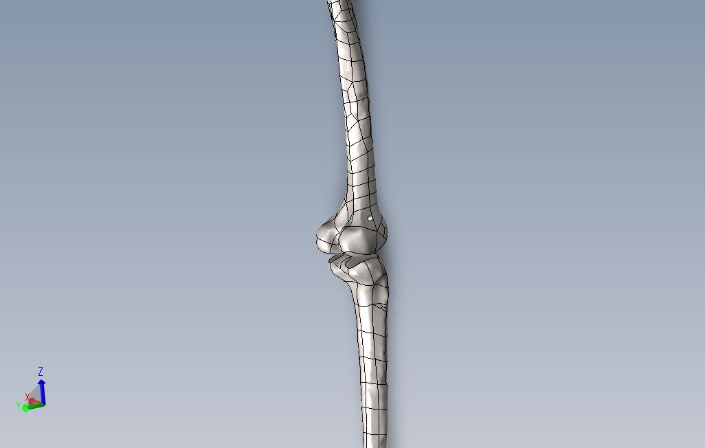 腿骨bone_SOLIDWORKS 2017_模型图纸免费下载 – 懒石网