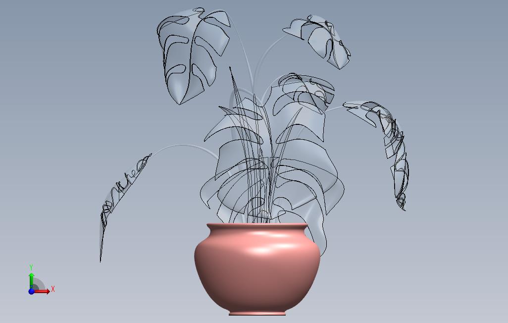 花猴子001 正面视图