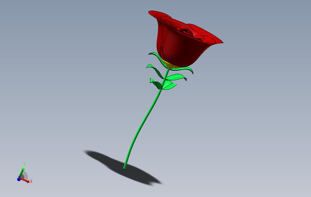 玫瑰花