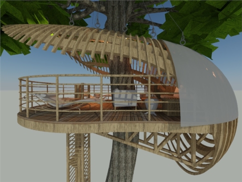树上小屋