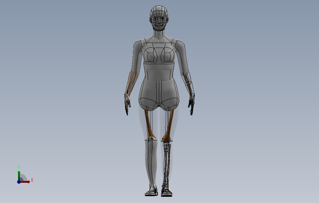 胫骨髓内钉模型3D图纸Solidworks设计附STEPIGS格式