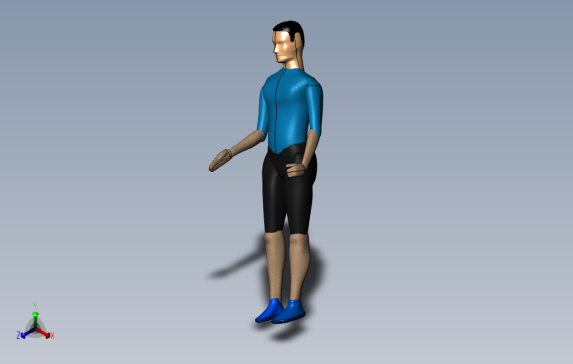 人体模型人体姿势模型sw12