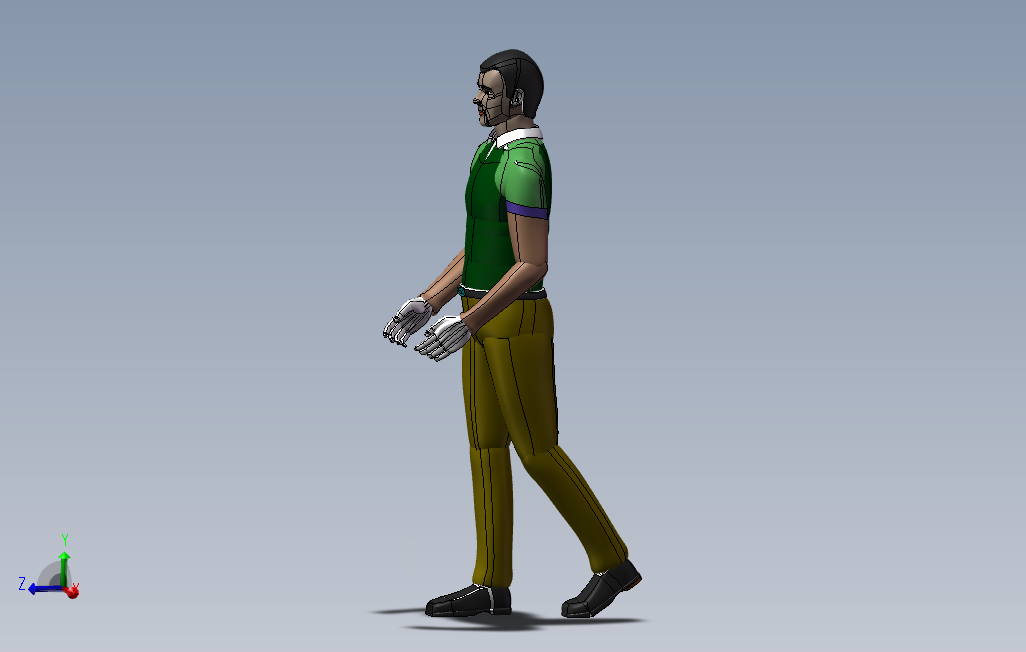 人体模型一款精致的工程人体3D模型