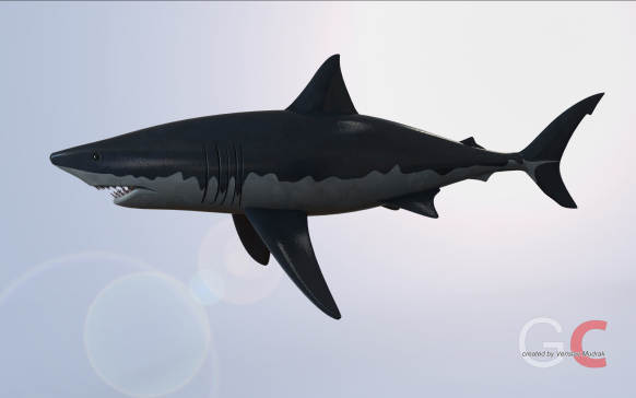 大白鲨鱼模型3D图纸 Solidworks设计 附STEP
