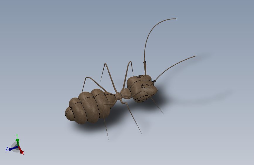 小昆虫3d模型