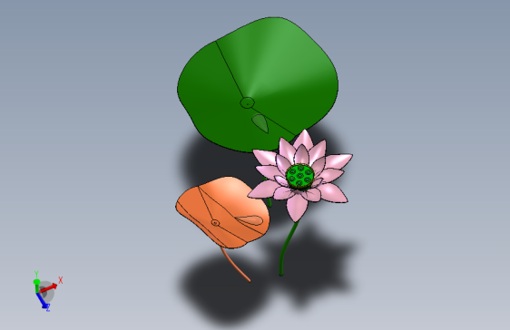 荷花