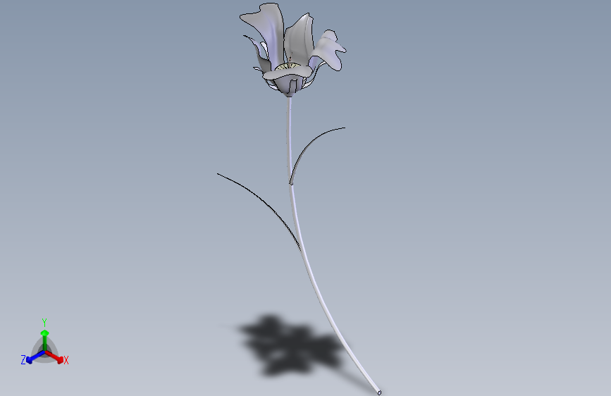 百合花