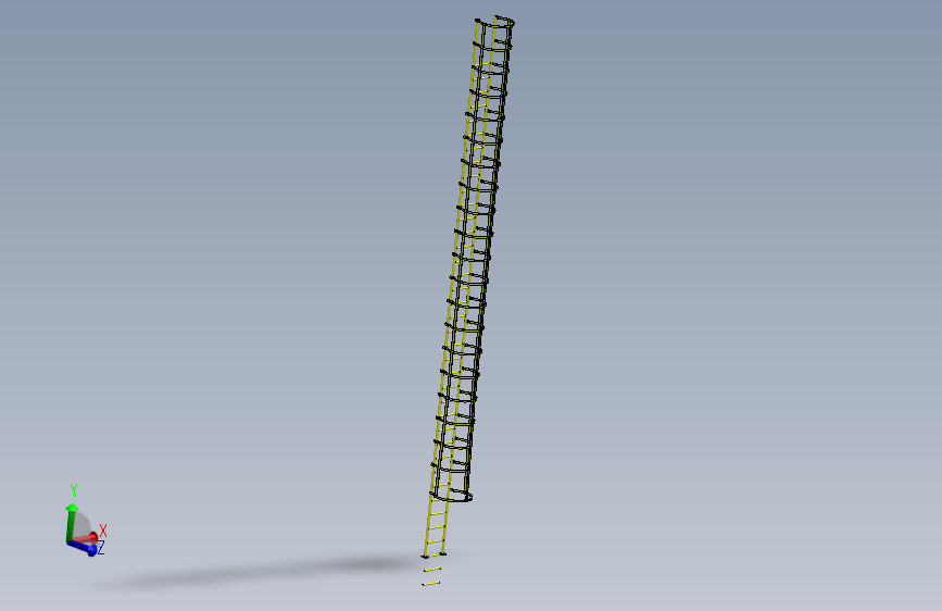 Cage Ladder-4 (2)