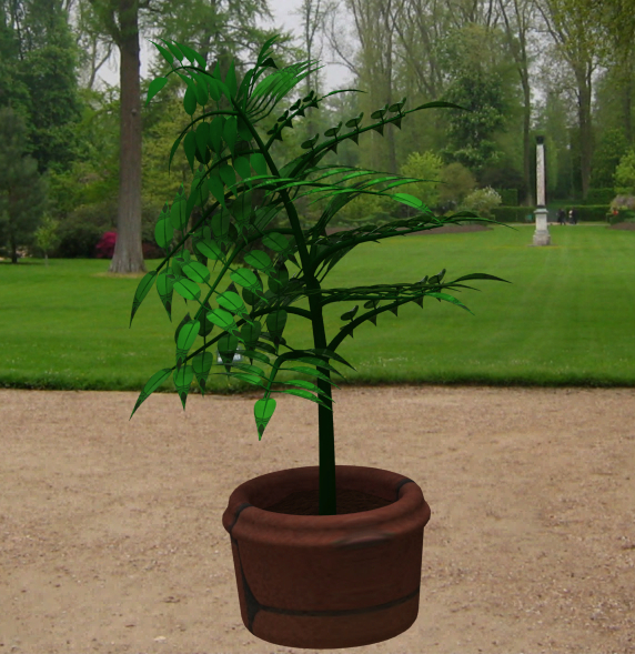 植物