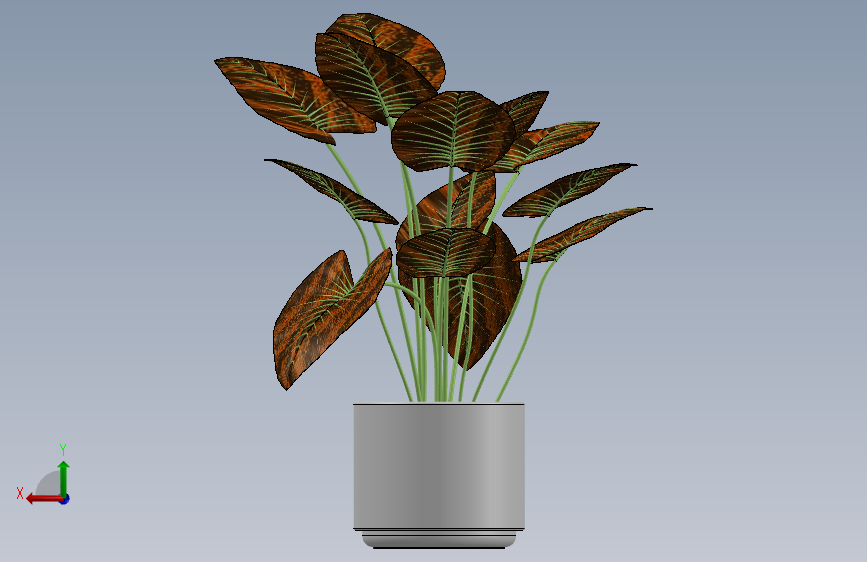 植物 背面视图