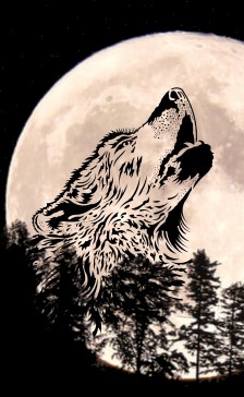 月亮上的狼