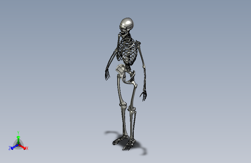 人类骨骼模型183195=15