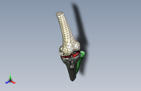 Y6730-骨骼+human-knee-joint+SW+STP+IGS