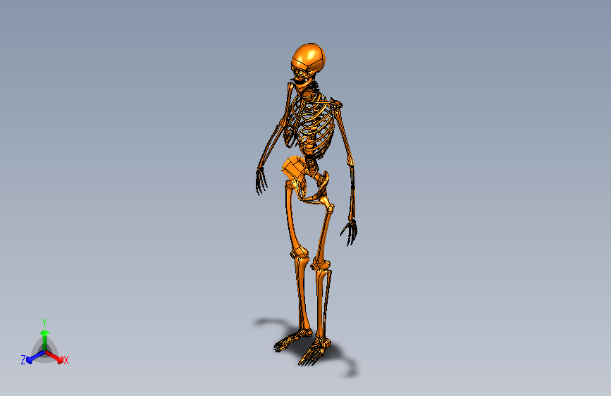 Y6731-骨骼+human-skeleton-1+SW+3DM+STP+OBJ+IGS+STL
