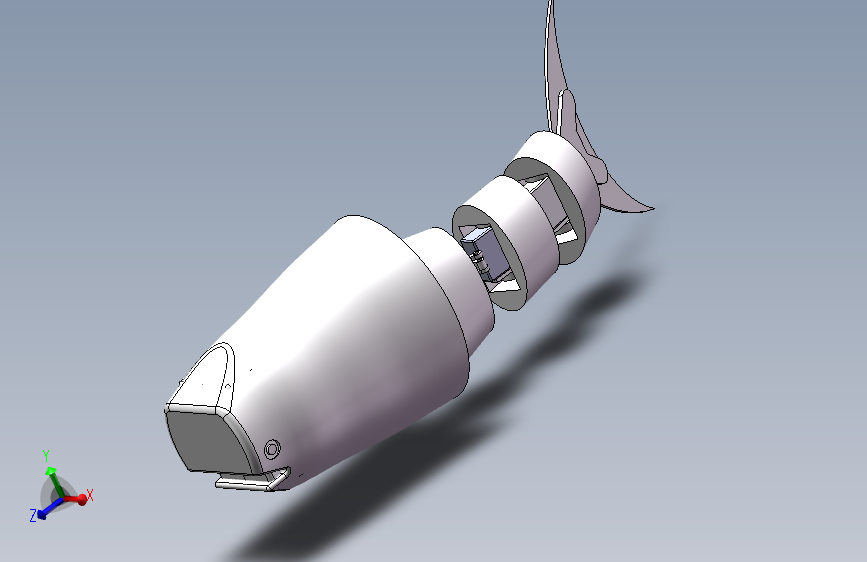 Z2895-水中柔性体仿生鱼三维SW2020无参==1380486=80