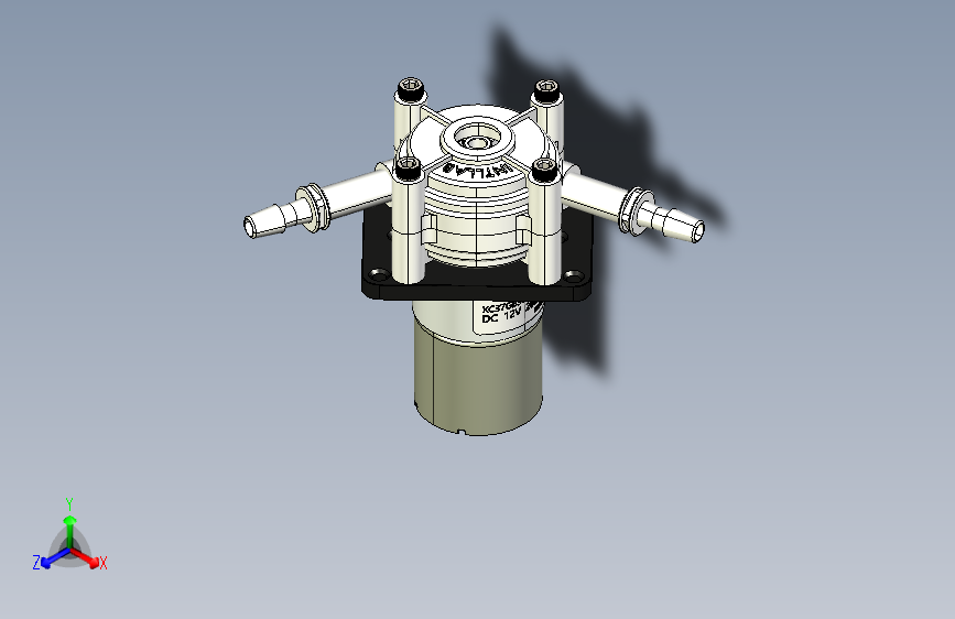 G02552-蠕动泵 DC 12V Intllab 220